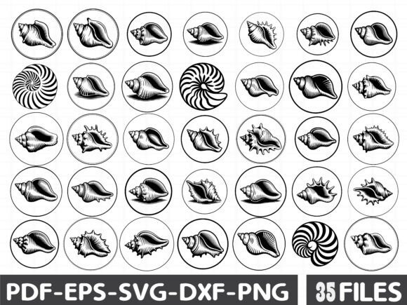 Seashell SVG Bundle: Graphics for Coastal Illustrations